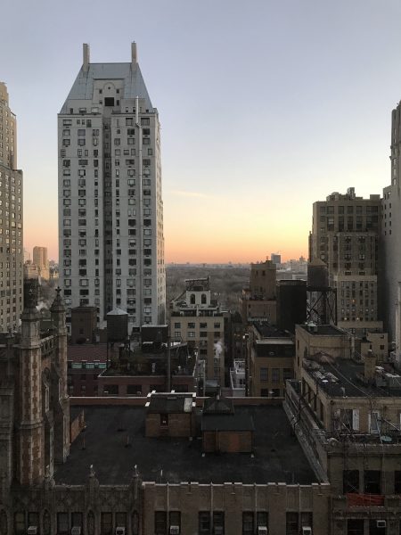 Viceroy NYC