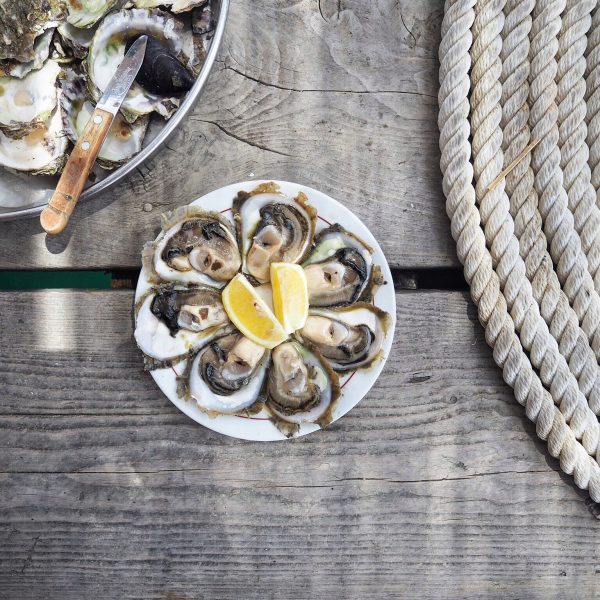 oyster farm in Croatia