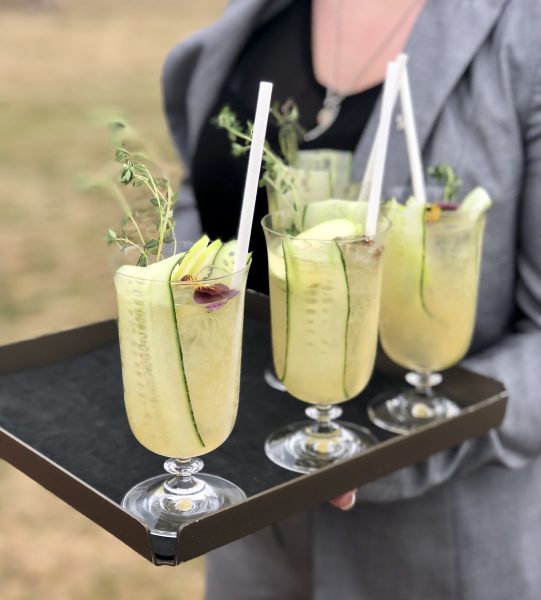Salcombe Gin
