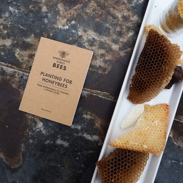 Bee Mindful